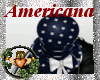 ~QI~ Americana Hat V2