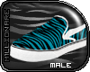 |M| Male Blue Zebra