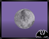 The Moon