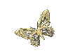 GOLD BUTTERFLY