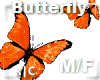 R|C Orange Butterfly M/F