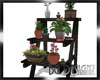 [BGD]Plant Ladder