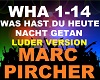 Marc Pircher - Was Hast