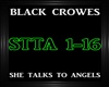 Black Crowes~SheTalks2An