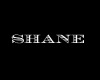 Shane Floor Lights :D