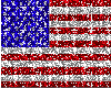 Old Glory USA FLAG !!