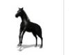 Black  Horse