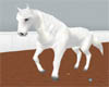 *White Riding Horse (A)