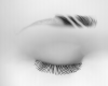 Il 2t brows bw 4