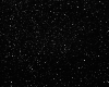 ZL: Black Diamond