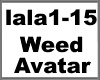 Weed Avatar + Song