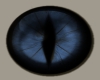 Blue Animal Eye
