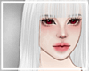 ✦ Archer