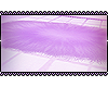 `Lilac Rug Request
