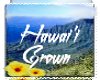 Hawaii Grown Stamp