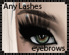 Any Lash Eyebrows V1