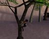climbing tree anim
