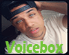 vb. Hood Male VoiceBox