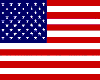 American HandHeld Flag