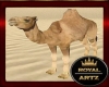 Egypt Desert Camel