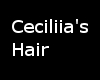 Cecillia's Hair
