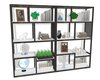 collectibles bookcase