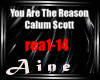 You Are The Reason-Calum