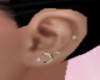 Moon w/ Stars Earrings