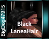 [BD]BlackLaneaHair