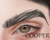 !A dt black eyebrow