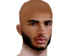 RGL Realistic Head HD 11
