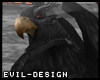 #Evil Black Falcon Head