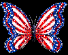 American Flag Butterfly