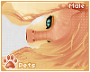 [Pets] Siravi | hair v5