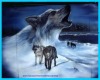 Blue Howling Wolf Rug