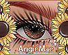 AM* Cafe Eyes