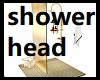 Family Royal Shower Head