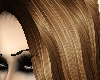 Long brown hair-H