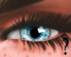 S- Real Blue Eye F