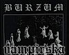 burzum poster