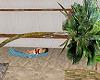 tropical tree hammock