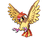 Animated Pidgeotto