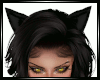 Cat ears Black animated