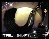 !F: Knight: Tail 1