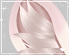 兎.Arai | Ears