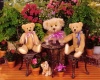 R&R Teddy Bear Pic - 5