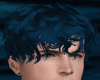 Cobalt Hair Rolled