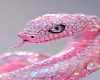 Cobra pink background