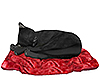black cat /red blanket