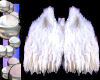 Angel feather wings